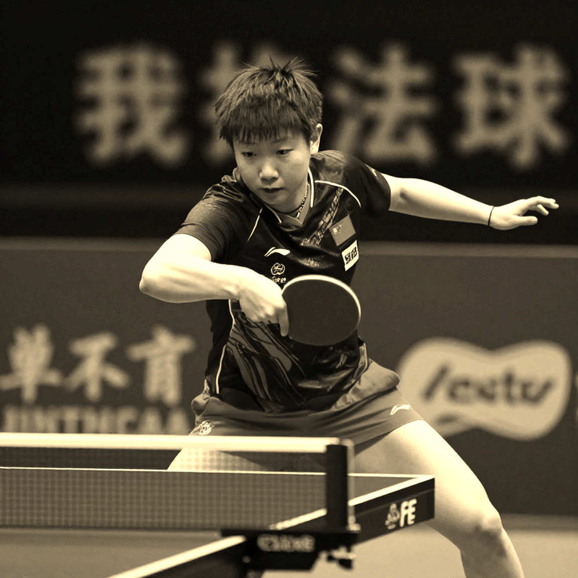 Vietnamese Table Tennis 2026: Historical Milestones and Aspirations Vietnamese Table Tennis 2026: Historical Milestones and Aspirations