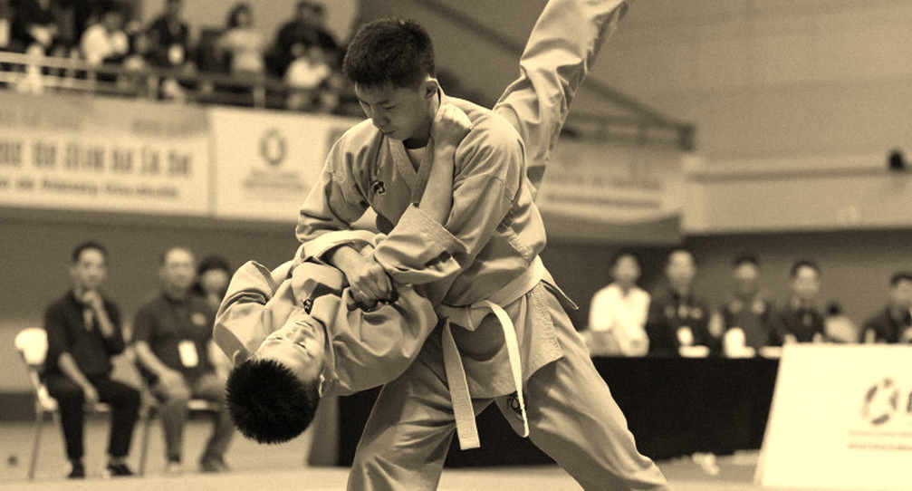 Two Arenas, One Discipline: The Data Gap in Vietnamese Martial Arts Two Arenas, One Discipline: The Data Gap in Vietnamese Martial Arts