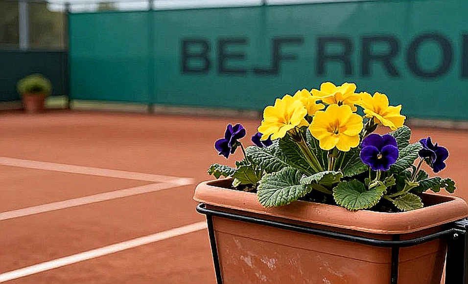 Đêm New York: Kenin hạ Venus Williams, và bài học về sự im lặng của những kỷ lục